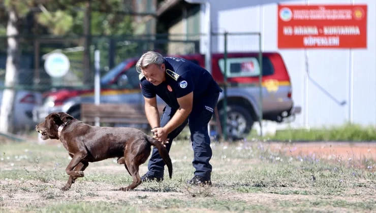 Depremde enkaz altından çıkan itfaiyeci, arama kurtarma köpekleriyle afetzedelere yardım ediyor