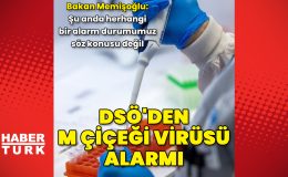 DSÖ, M çiçeği virüsünün "uluslararası öneme sahip bir halk sağlığı acil durumu oluşturduğunu" açıkladı – Güncel haberler | Sağlık Haberleri