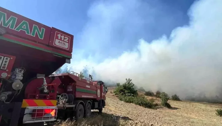 Kahramanmaraş’ta Orman Yangınına Karadan Müdahale Başladı