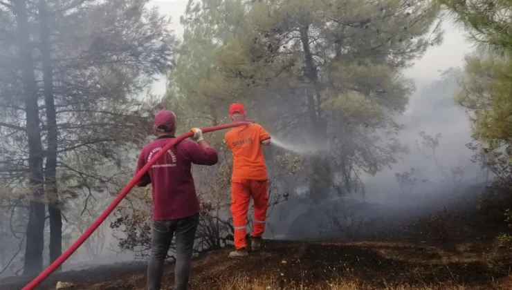 Kahramanmaraş’ta 15 Hektar Orman Yandı